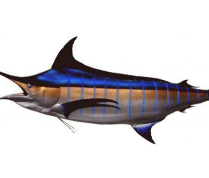 Collection image for: MARLIN, BLUE