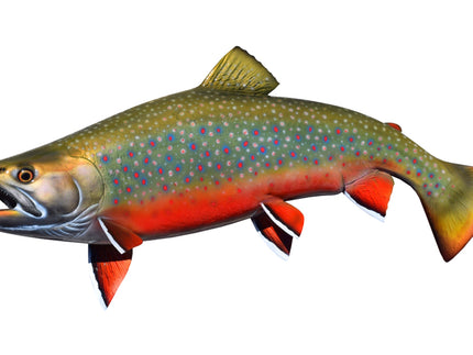 Collection image for: CHAR, DOLLY VARDEN