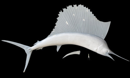 112-INCH SAILFISH BLANK, STANDARD