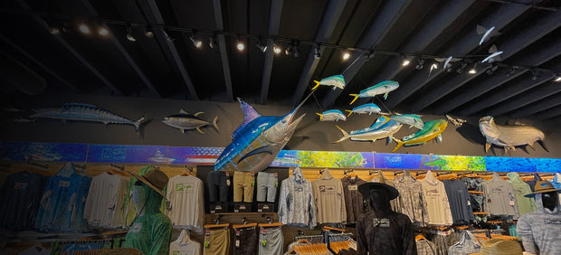 Transform Your Location into an Adventure Destination