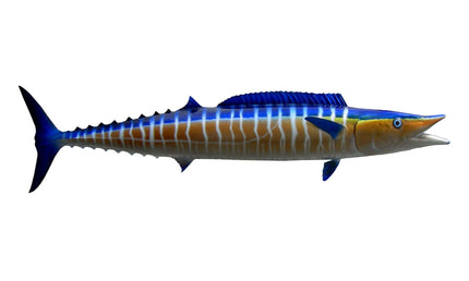 53-INCH WAHOO, HALF-SIDED