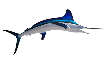 73-INCH WHITE MARLIN, HALF-SIDED