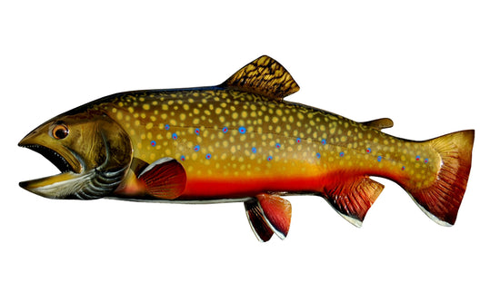 18-INCH BROOK TROUT