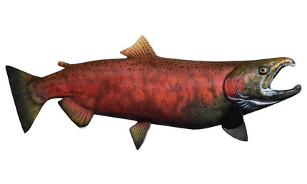 27-INCH COHO SALMON