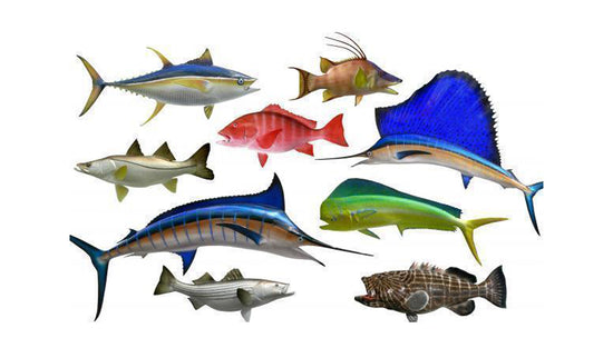 FISHERMAN'S DELIGHT!