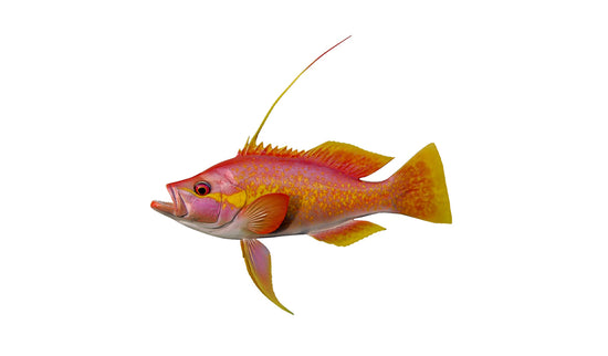 21-INCH LONGTAIL BASS