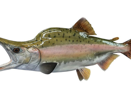 Collection image for: SALMON, PINK