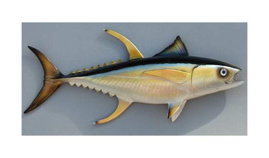 YELLOWFIN TUNA, MINIATURE