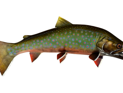 Collection image for: ARCTIC CHAR