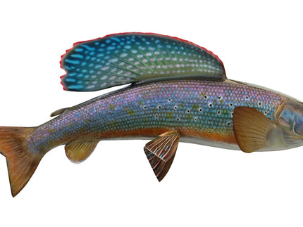 Collection image for: ARCTIC GRAYLING