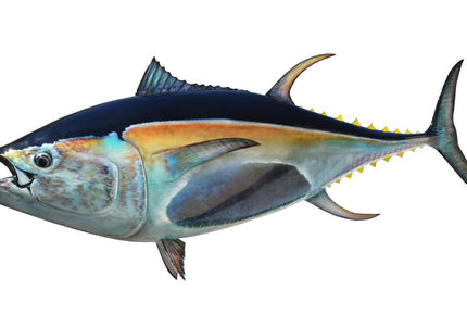 Collection image for: TUNA, BLUEFIN