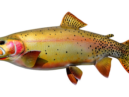 Collection image for: TROUT, CUTTHROAT