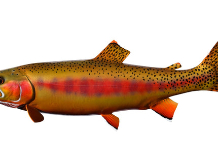 Collection image for: TROUT, GOLDEN