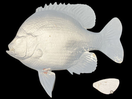 10-INCH BLUEGILL BLANK (L), STANDARD