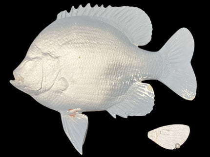 10-INCH BLUEGILL BLANK (L), STANDARD