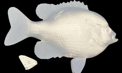 10-INCH BLUEGILL BLANK (R), STANDARD