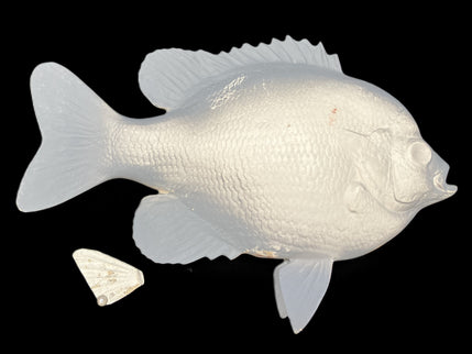 10-INCH BLUEGILL BLANK (R), STANDARD