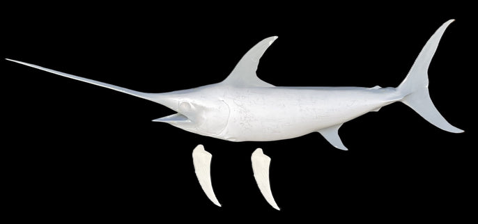 106-INCH SWORDFISH BLANK, STANDARD