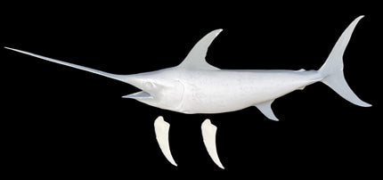 106-INCH SWORDFISH BLANK, STANDARD