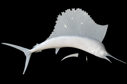 112-INCH SAILFISH BLANK, STANDARD