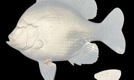 12-INCH BLUEGILL BLANK (L), STANDARD