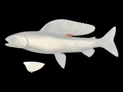 15-INCH ARCTIC GRAYLING BLANK, STANDARD
