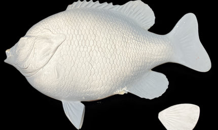 15-INCH BLUEGILL BLANK (L), STANDARD