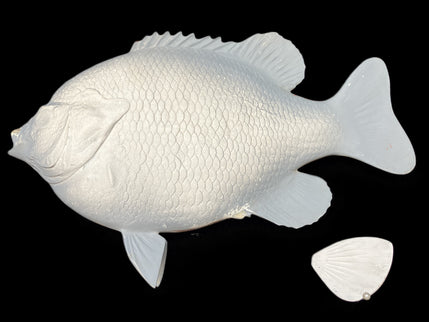 15-INCH BLUEGILL BLANK (L), STANDARD