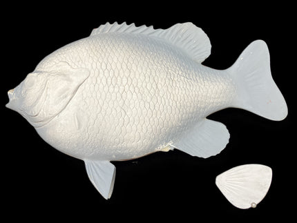 15-INCH BLUEGILL BLANK (L), STANDARD