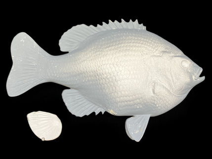 15-INCH BLUEGILL BLANK (R), STANDARD