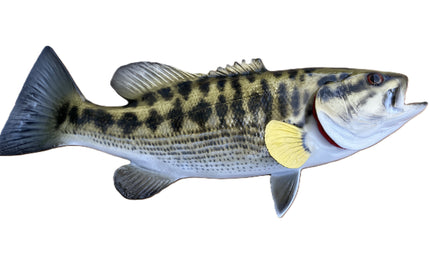 16-INCH SMALLMOUTH BASS