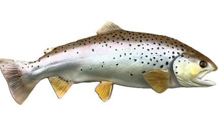 16-INCH BROWN TROUT
