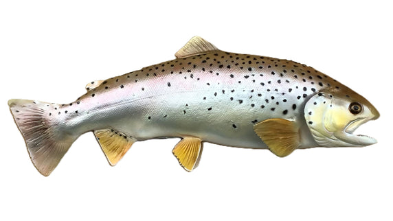 16-INCH BROWN TROUT