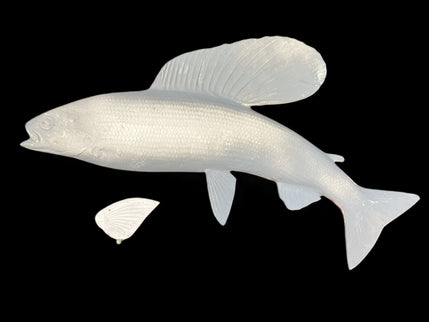 18-INCH ARCTIC GRAYLING BLANK, STANDARD