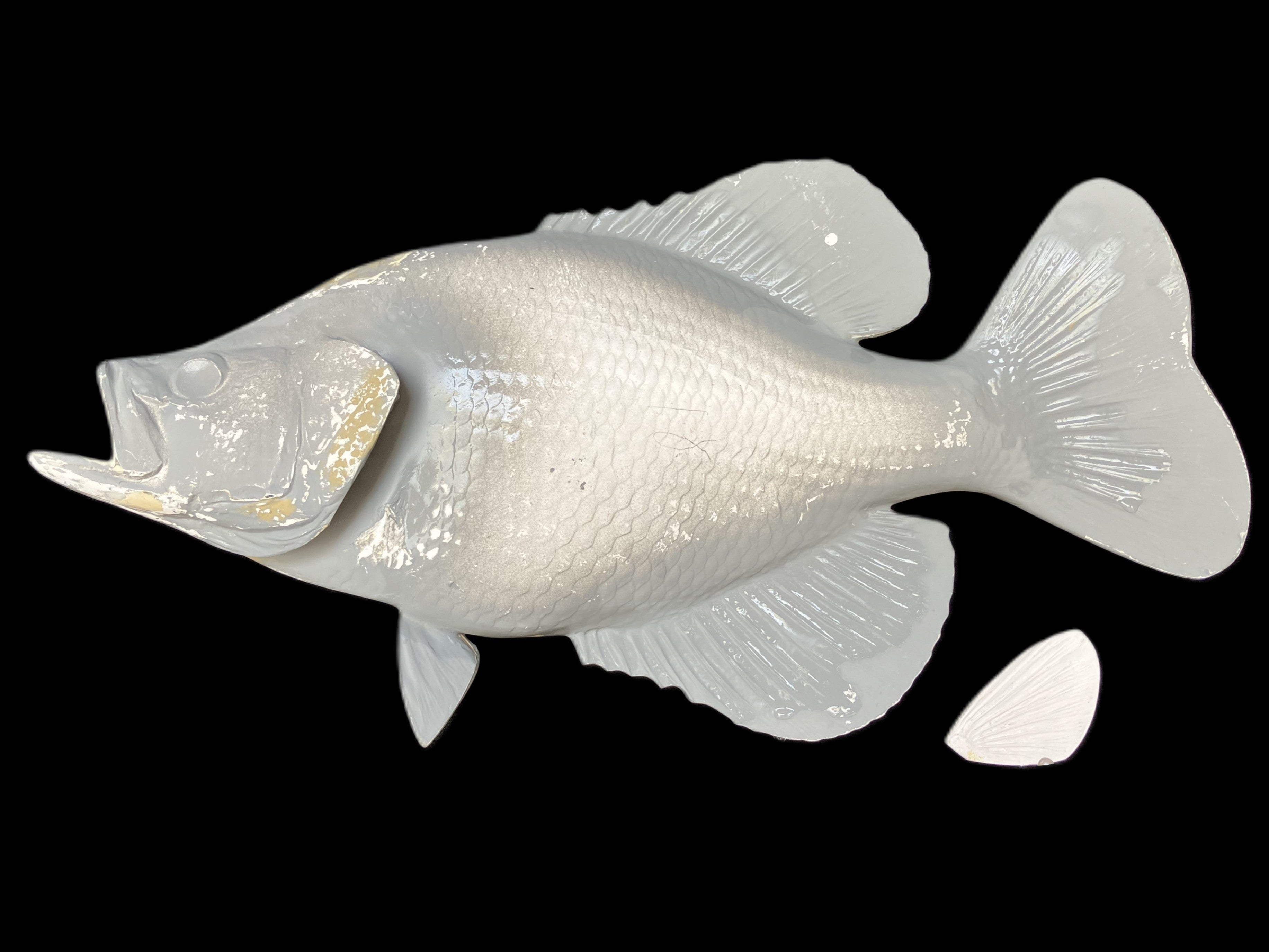 Replica 18-Inch Crappie Blank, Standard | King Sailfish Mounts
