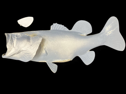 5-POUND LARGEMOUTH BASS BLANK, STANDARD