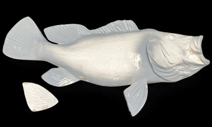 20-INCH PEACOCK BASS BLANK (R), STANDARD