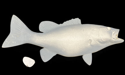 19-INCH SMALLMOUTH BASS BLANK, STANDARD
