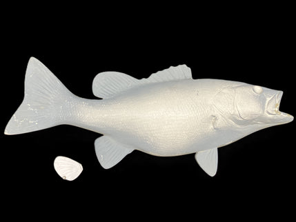 19-INCH SMALLMOUTH BASS BLANK, STANDARD