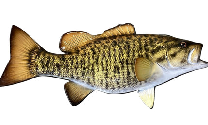 19-INCH SMALLMOUTH BASS