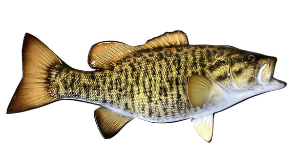 19-INCH SMALLMOUTH BASS