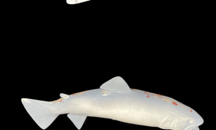 19-INCH BROWN TROUT BLANK, STANDARD