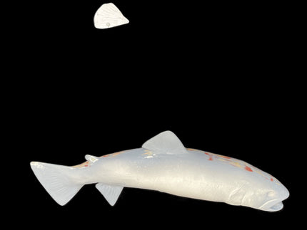 19-INCH BROWN TROUT BLANK, STANDARD