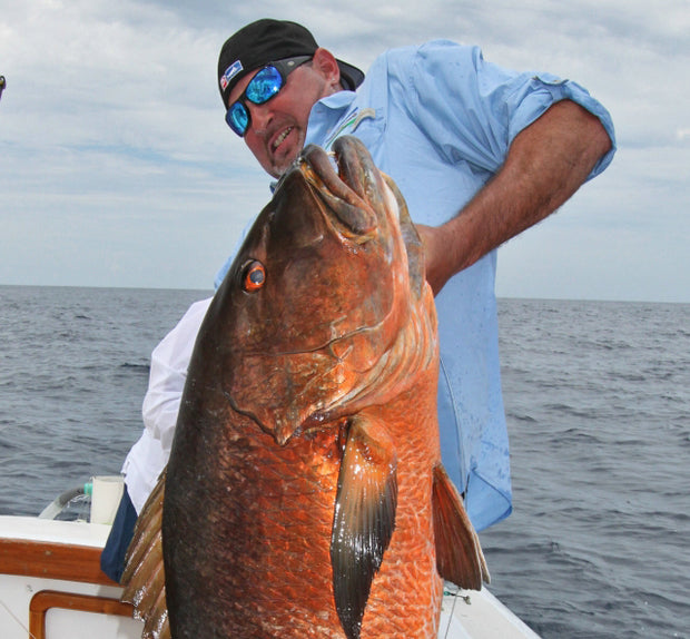 Cubaro Snapper Rigs Cubera Snapper Fish Mounts | King Sailfish Mounts
