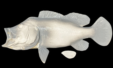 20-INCH PEACOCK BASS BLANK (L), STANDARD