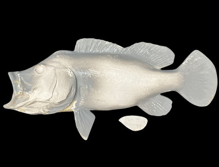 20-INCH PEACOCK BASS BLANK (L), STANDARD