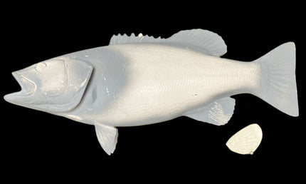 20-INCH SMALLMOUTH BASS BLANK, STANDARD