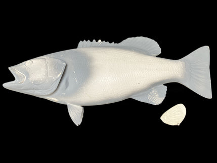 20-INCH SMALLMOUTH BASS BLANK, STANDARD