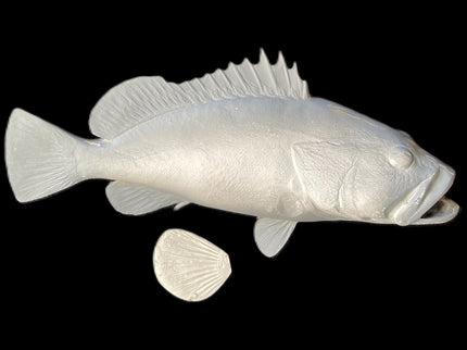 20-INCH STRAWBERRY GROUPER BLANK, STANDARD