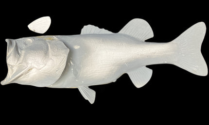 6-POUND LARGEMOUTH BASS BLANK, STANDARD